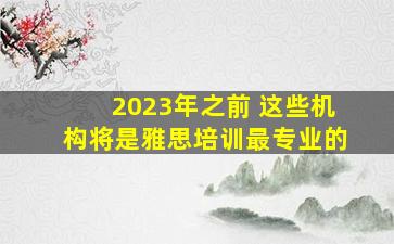 2023年之前 这些机构将是雅思培训最专业的